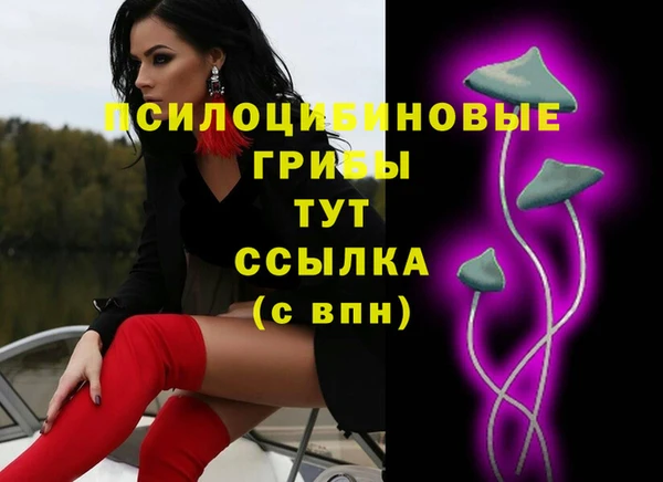 индика Аркадак