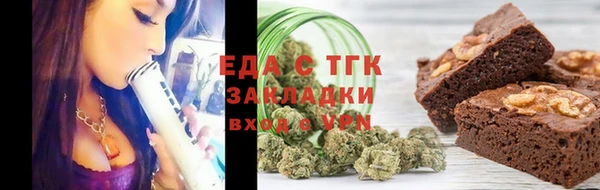 индика Аркадак