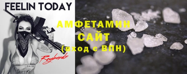 индика Аркадак