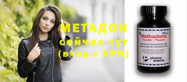 индика Аркадак