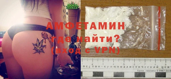 индика Аркадак