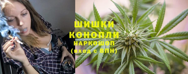 индика Аркадак