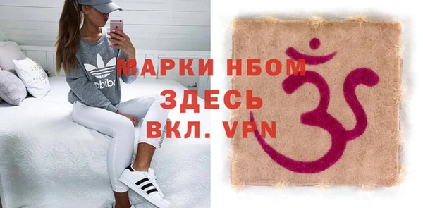 индика Аркадак