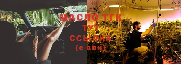 индика Аркадак