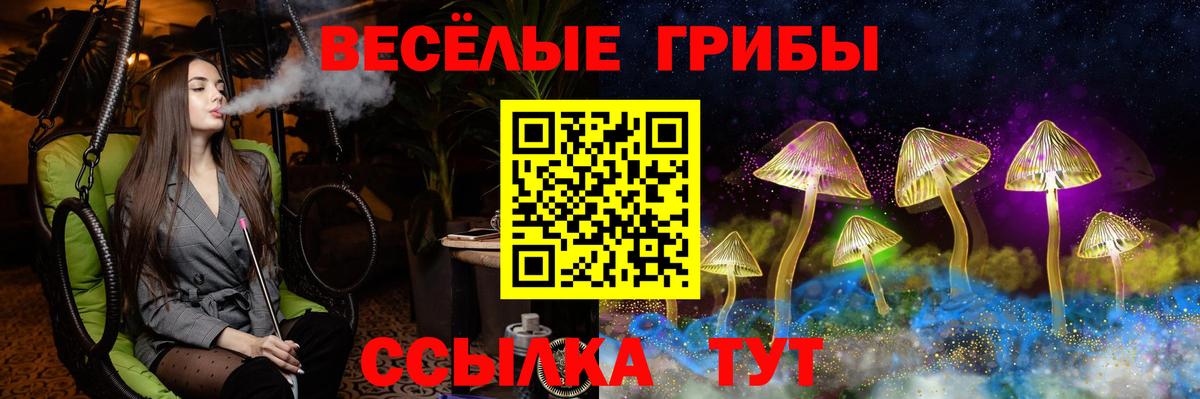 Галлюциногенные грибы Psilocybine cubensis  Вход с VPN  Балашов 